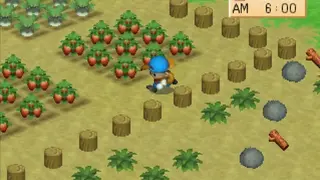 Harvest Moon: Back to Nature screenshot