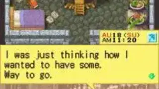 Harvest Moon DS screenshot