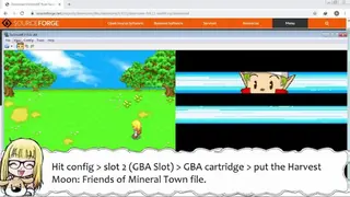 Harvest Moon DS screenshot