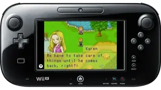 Harvest Moon: Friends of Mineral Town screenshot