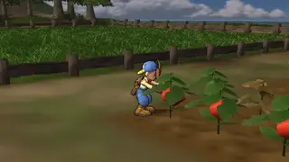 Harvest Moon: Save the Homeland screenshot