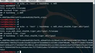 Hashdeep screenshot