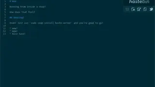 Hastebin screenshot
