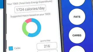 Health Check – BMI, TDEE, BMR screenshot