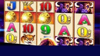 Heart of Vegas Slots-Casino screenshot