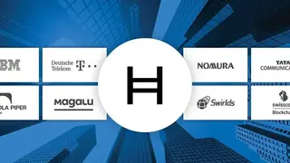 Hedera Hashgraph screenshot
