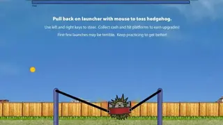 Hedgehog Launch screenshot