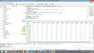 HeidiSQL screenshot