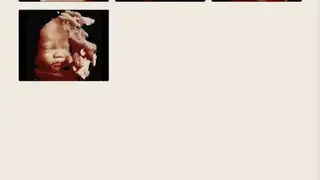 Hello Mom screenshot