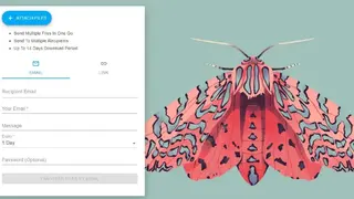 Hey Ants screenshot
