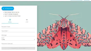 Hey Ants screenshot