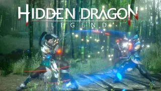 Hidden Dragon Legend screenshot