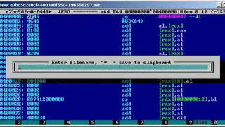 Hiew screenshot