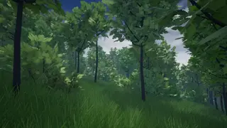 HIIS screenshot
