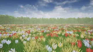 HIIS screenshot