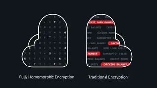 Homomorphic encryption screenshot