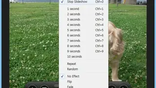 HoneyView Viewer screenshot