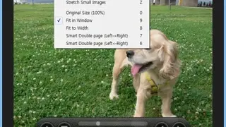 HoneyView Viewer screenshot