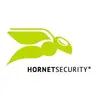 Hornetsecurity Spamfilter
