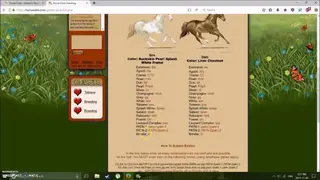 Horse Eden screenshot