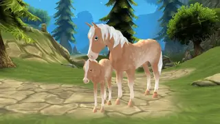 Horse Paradise – My Dream Ranch screenshot