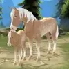 Horse Paradise – My Dream Ranch