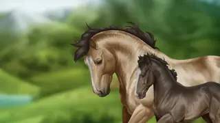 Horse Reality screenshot