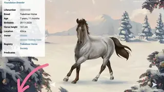 Horse Reality screenshot