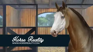 Horse Reality screenshot