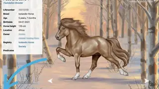 Horse Reality screenshot
