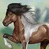 Horse Reality