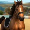 Horse World – Show Jumping