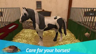 HorseWorld – My Riding Horse screenshot