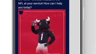 Houston Texans Mobile App screenshot