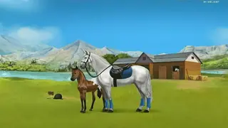 Howrse screenshot