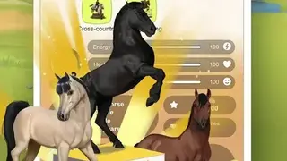 Howrse screenshot