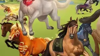 Howrse screenshot