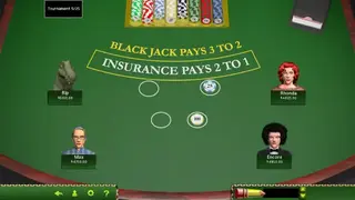 Hoyle Official Casino Games screenshot