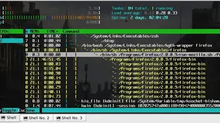 htop screenshot