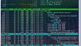 htop screenshot