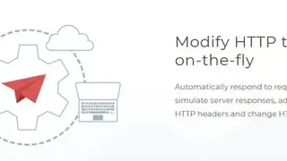 HTTP Debugger screenshot