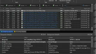 HTTP Debugger screenshot
