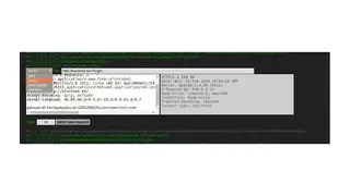 HTTP-Repeater (HTTP/s Live Headers) (Beta) screenshot