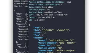 HTTPie screenshot