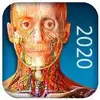 Human Anatomy Atlas 2020
