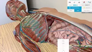 Human Anatomy Atlas 2020 screenshot