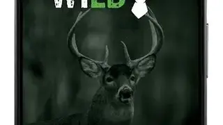 Hunt Wisconsin screenshot