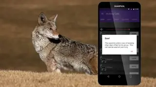 Hunting Calls All in One screenshot