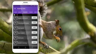 Hunting Calls All in One screenshot