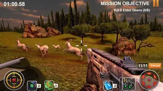 Hunting Safari 3D screenshot